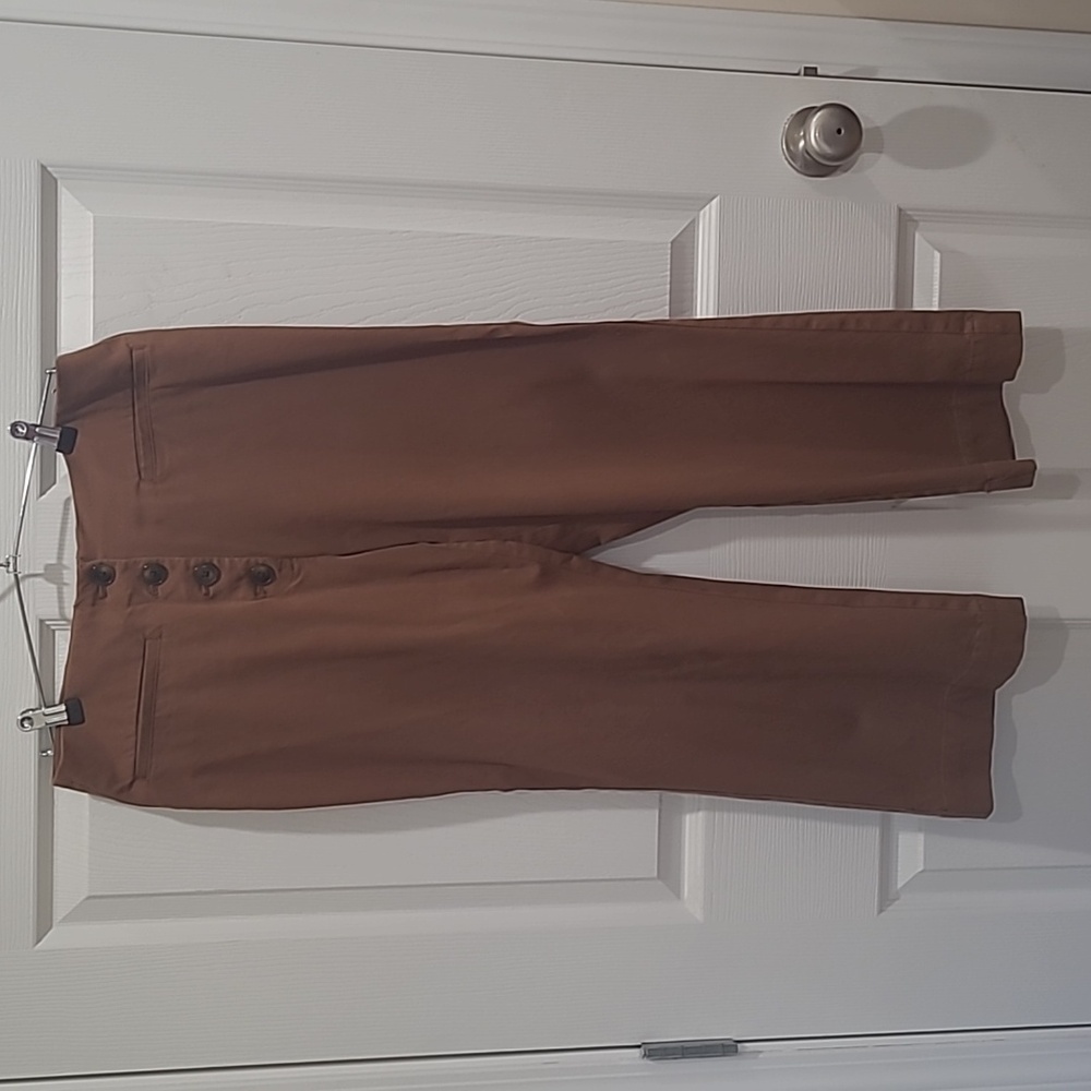 Ann Taylor Loft brown crop dresspants